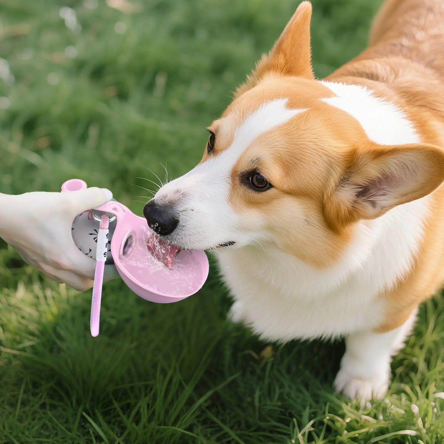 HydraPaw™ | 2-in-1 Dog Water Bottle