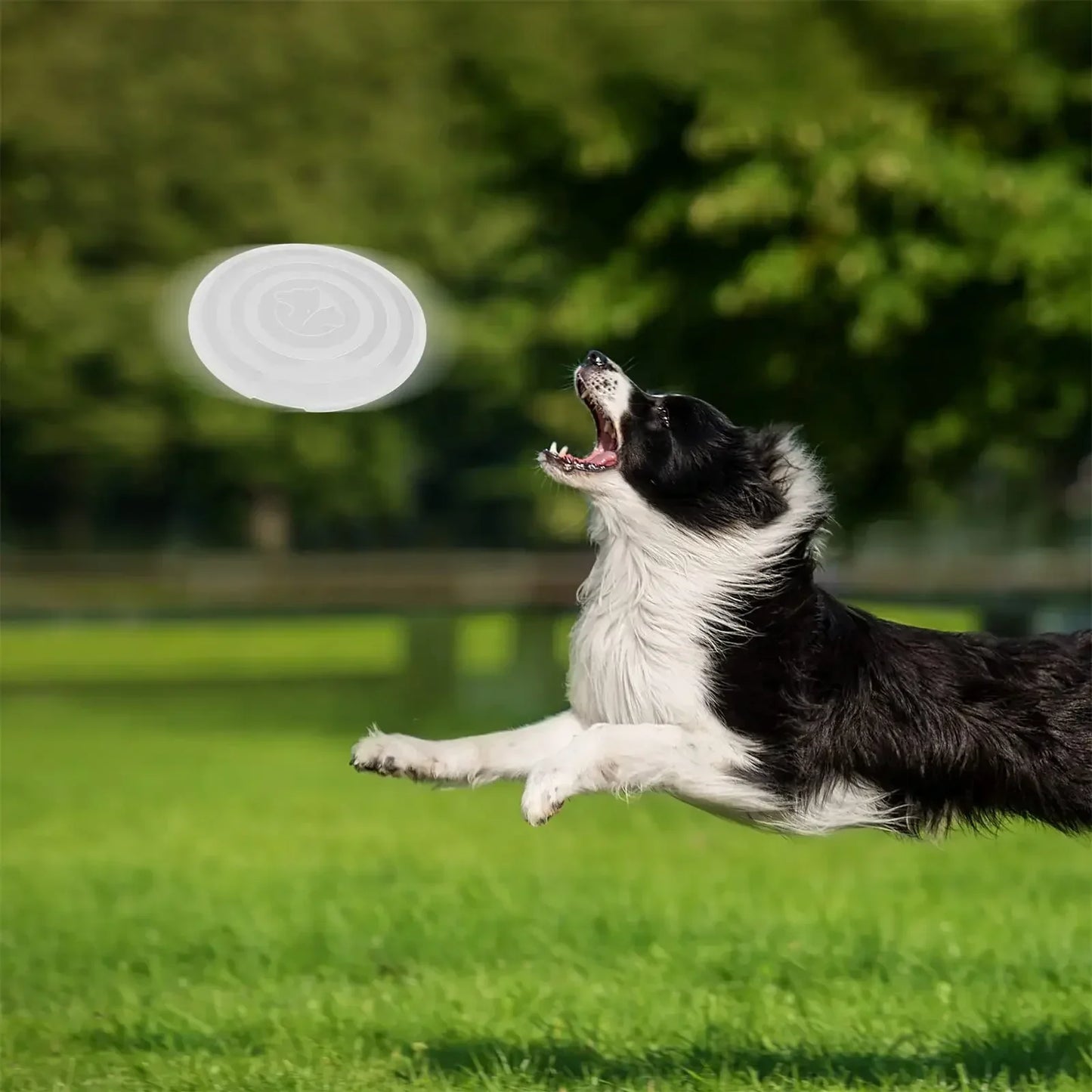HydraPaw™ | Collapsible Bowl Keychain