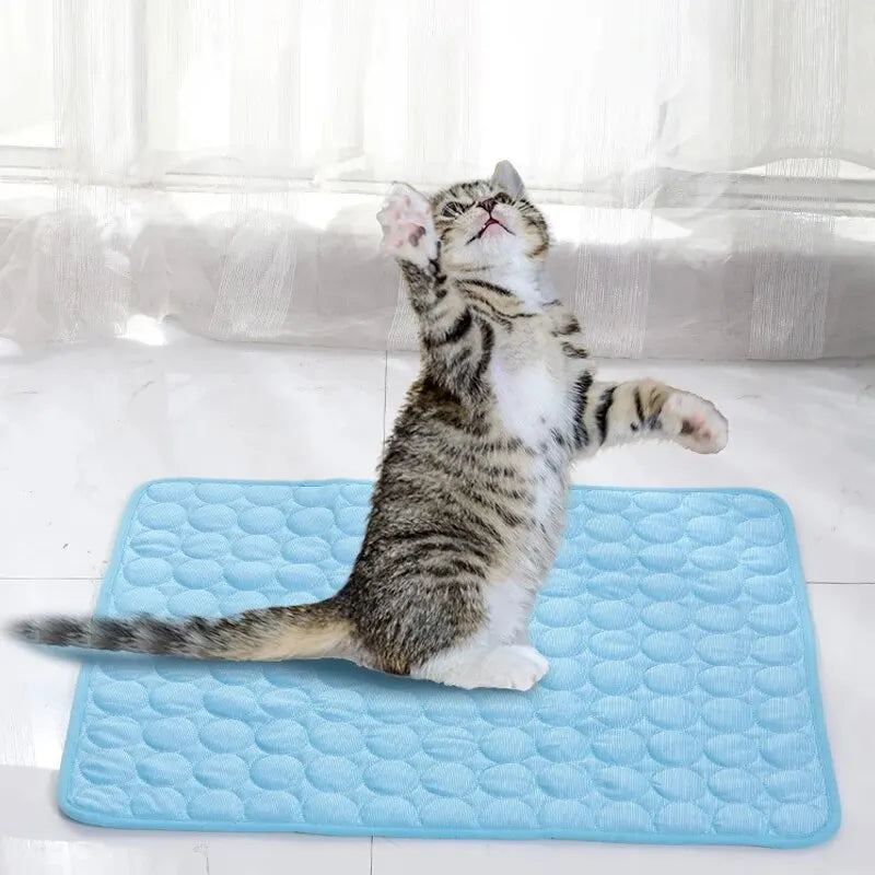 HydraPaw™ | Portable Pet Cooling Pad